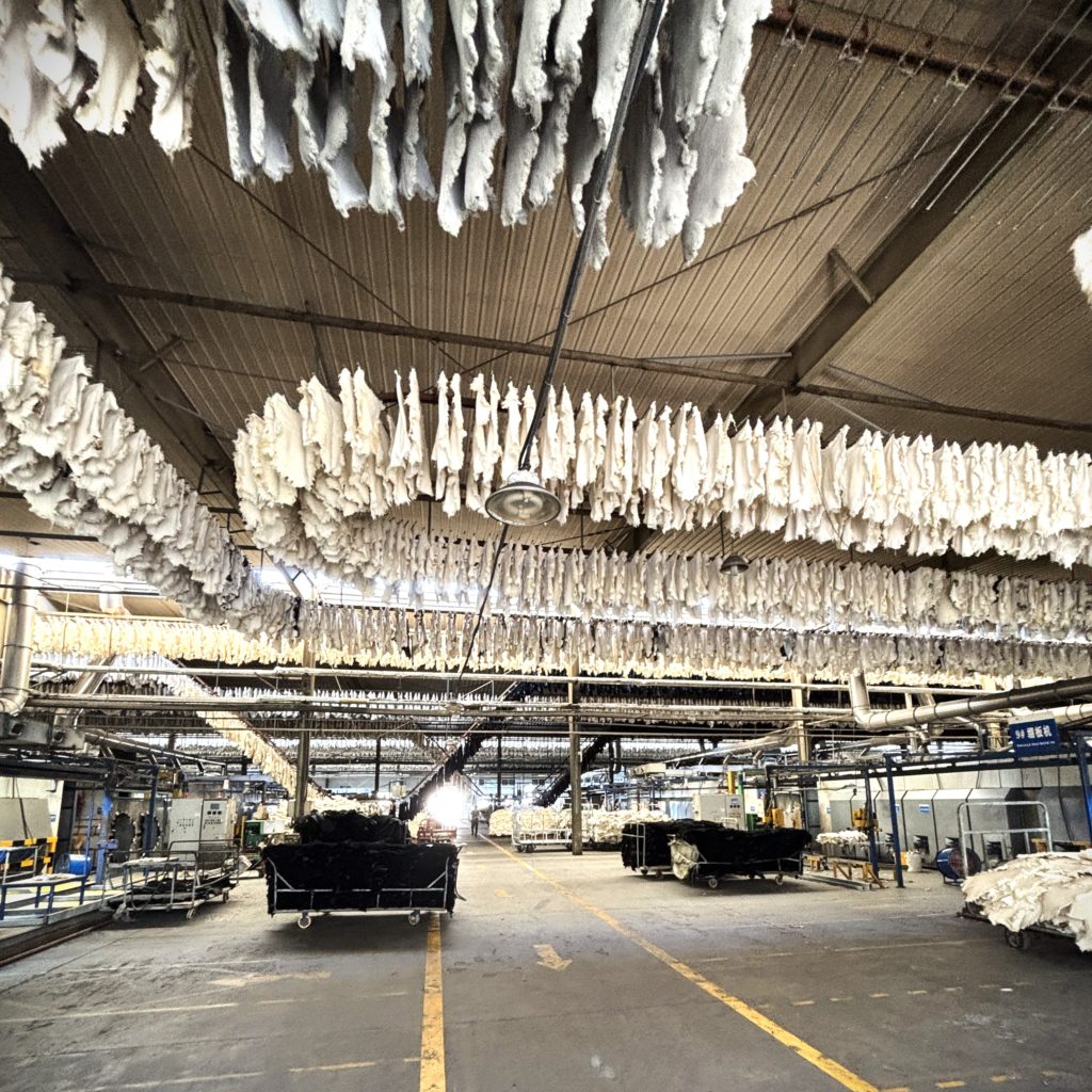 世界最高爆睡ムートンシーツの製造工場をこの目で見る旅　よくねる寝具店